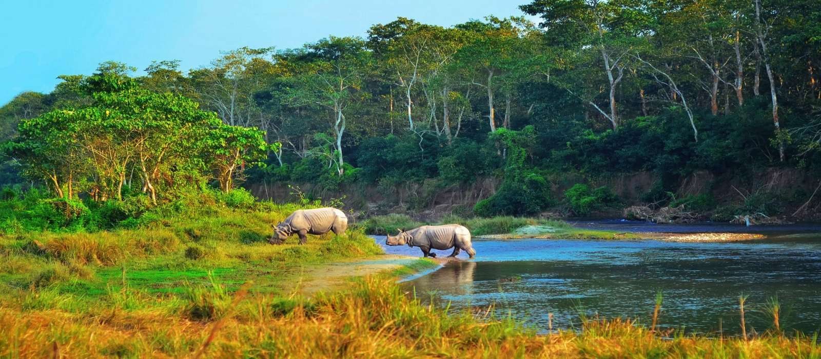 Chitwan Jungle Safari Tour